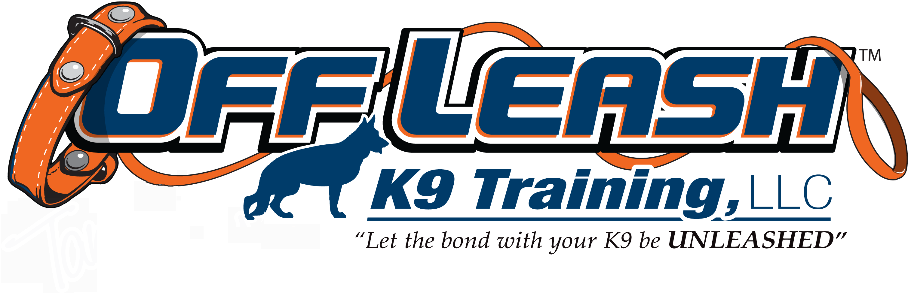Vermont Offleash K9 Dog Training